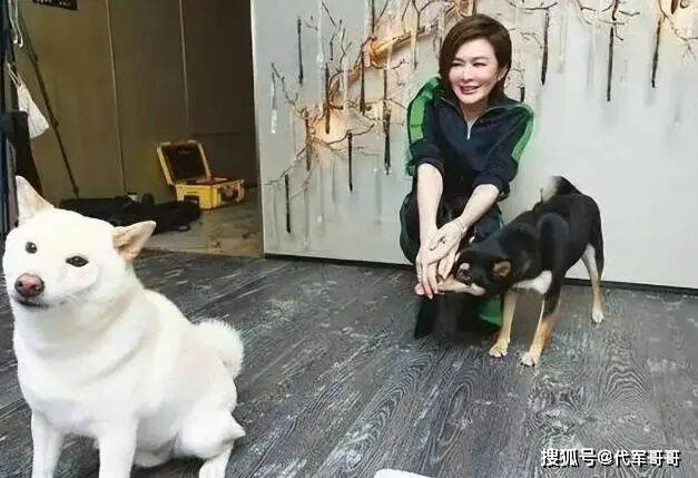 63���֮�ս����ع⣡ס1.5�ڰ�ɽ��ˮ��լ