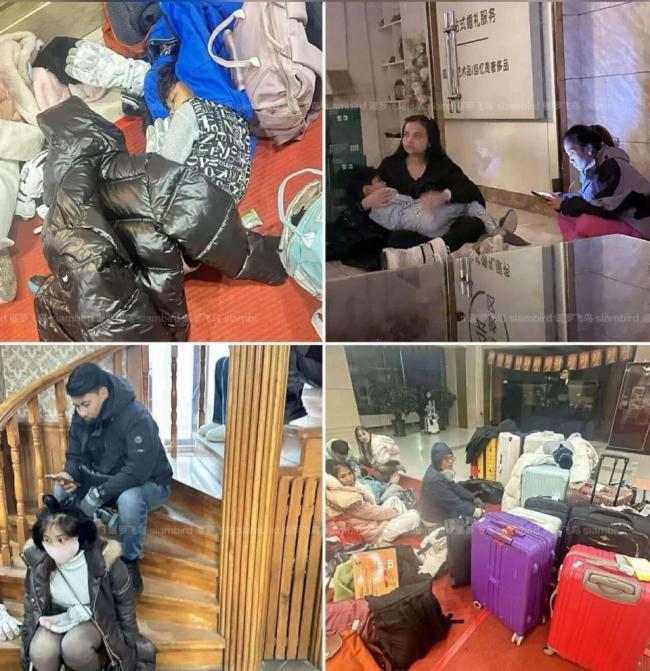 ������֮�á���16�˼�ͥ�ţ��й���ȫ��ʧ��