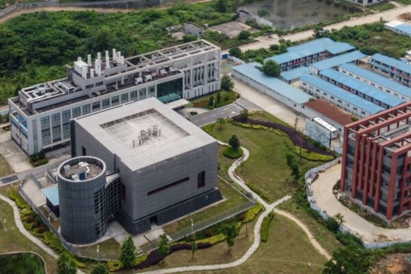 �ٽұ������У����ճ������ĵ��人����ʬ��....