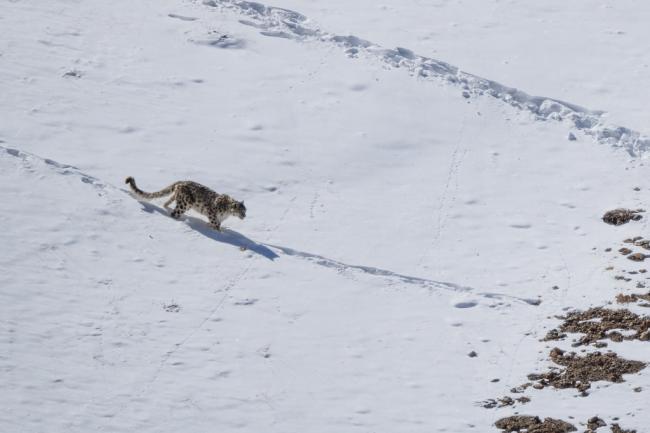 �½�ѩ������ �ο͡�������Ѫ��ʹ�໭����