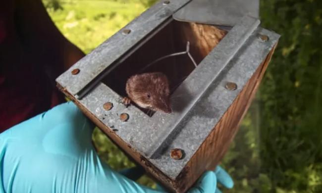 ̫������ �⶯�ﶬ�조��С������ ���쳤������