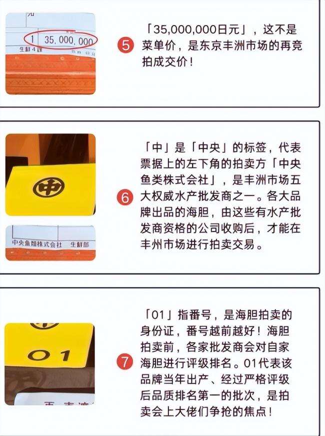 王思聪百万买下海胆之王,堪比一口一套房 王思聪百万买下海胆之王,堪比一口一套房