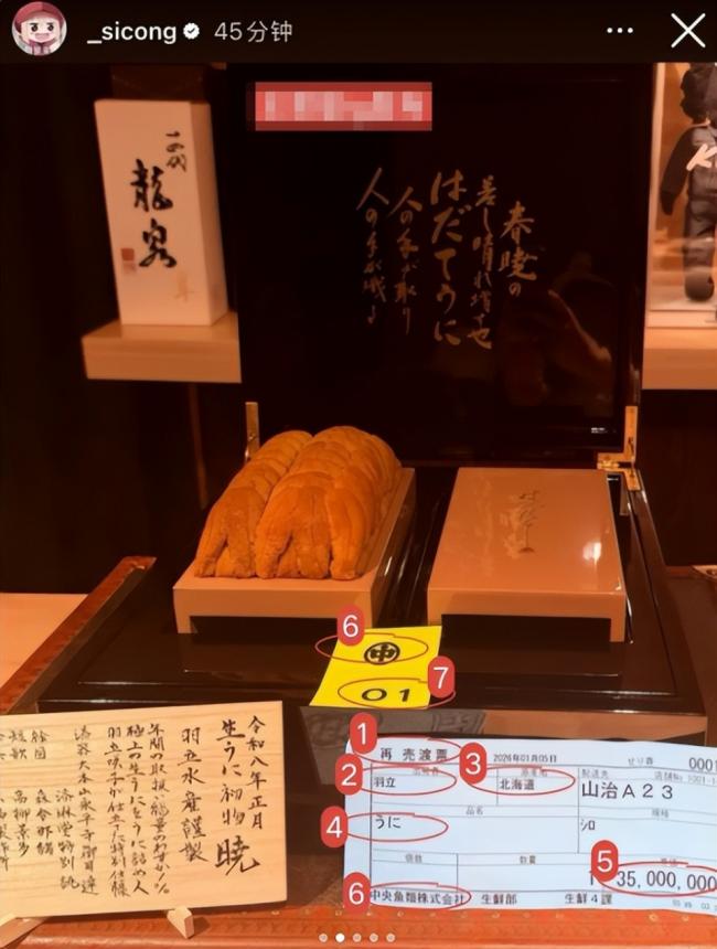 王思聪百万买下海胆之王,堪比一口一套房 王思聪百万买下海胆之王,堪比一口一套房