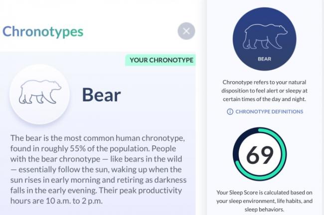 CEO们推崇五点起床，你未必适合