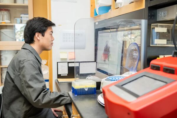 里程碑！科学家用AI首度做出“新病毒”