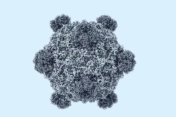里程碑！科学家用AI首度做出“新病毒”