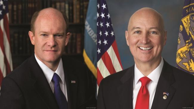 ����������������Ա��ϰ����������Ҫ�ж�