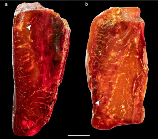 ����ղص����� ����4000����ǰ���������