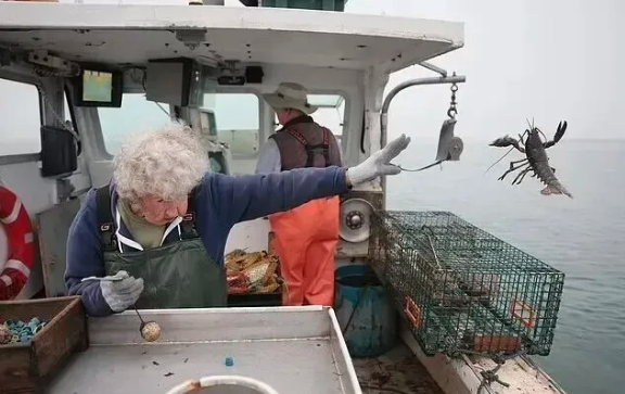 ���賿��ץ��Ϻ ��8��ɵ�103�꣡һ��Ӳ��...