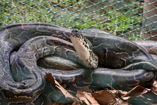 ���ݲ��������������15�ף�ȫ���ܶ�Ա�����Ʒ�