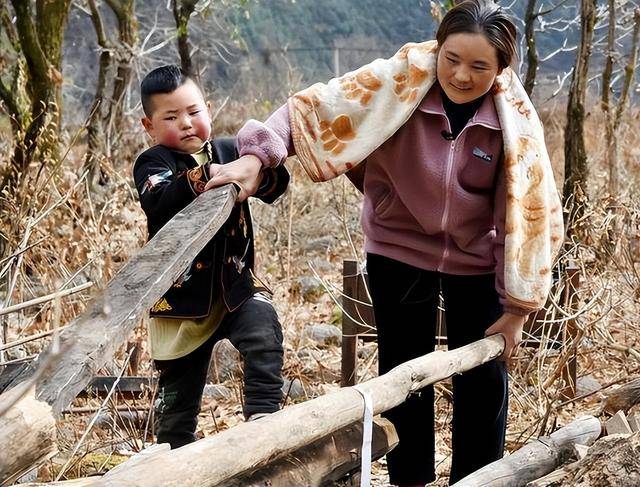 ���к��������� ������ĸ�ס�����������