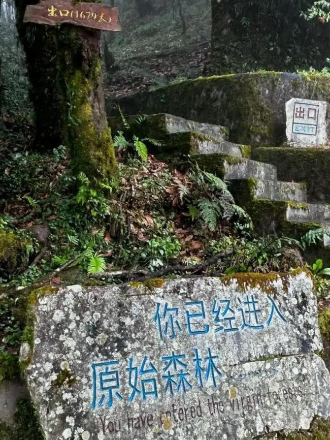 绝望:北大女博士倒挂长城2小时,目睹自己坠亡 绝望:北大女博士倒挂长城2小时,目睹自己坠亡