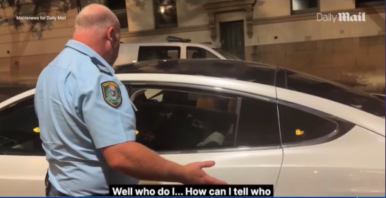 ��Ƭ�ع⣺������1.8���Ԫ��ͷ���� �뾯�콩��