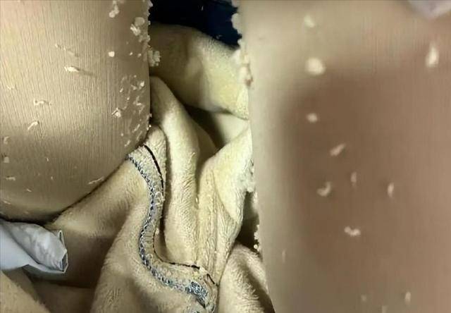 别买这种“加绒裤”！央视曝光，真的有毒