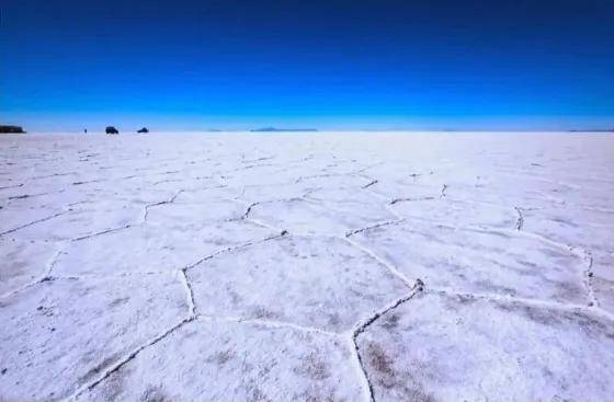 �Ի�����ȫ�����ϣ����õ�20�ں����ϵ�������