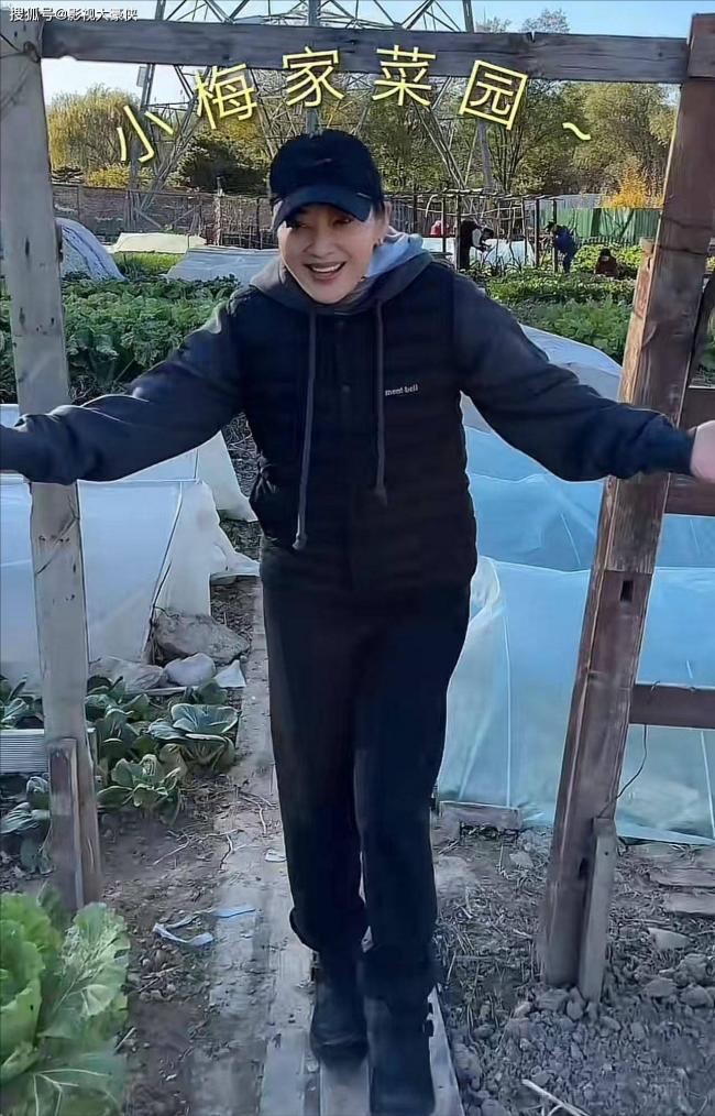 真相大白！错怪梅婷了，她当年根本没重男轻女