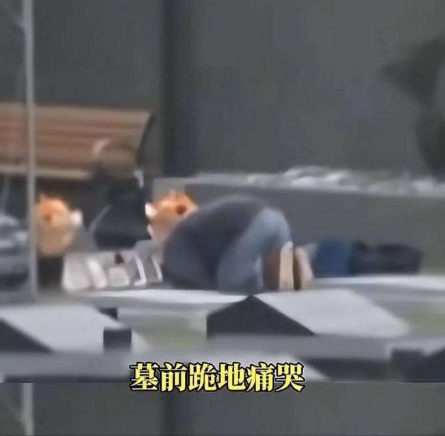 ��Sȥ��һ���꣬��ý�׶Ȼ�ԭ��������