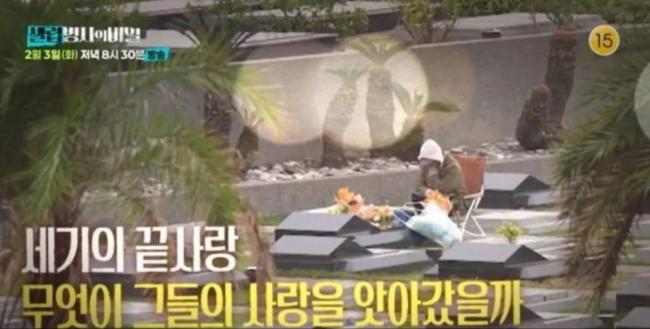 ��Sȥ��һ���꣬��ý�׶Ȼ�ԭ��������