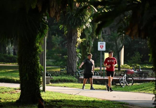 世卫：全球近4成癌症可预防 主要风险因素曝光