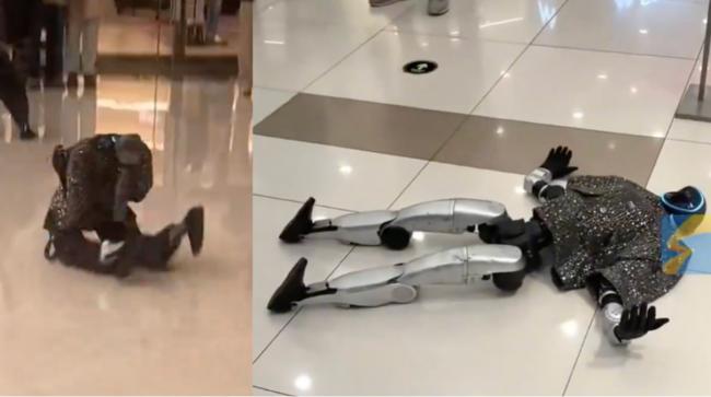 陆机器人撞到长辈 下一秒逗笑大家