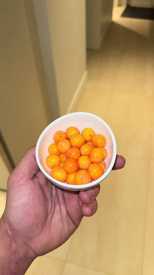 网民震惊：网红捡来假死蜥蜴 做Taco食用