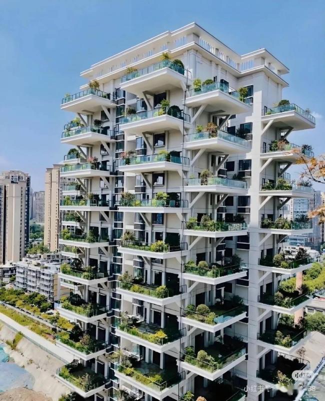 ���Ĵ�סլ�������ˣ�ס��ȥ��֪��������Ӳ��