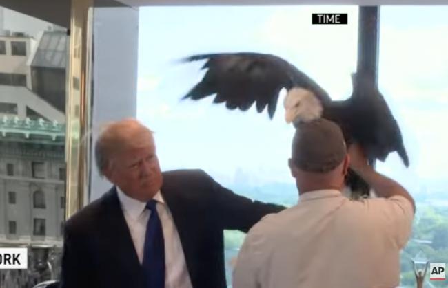 ���������� ������ס���յ���������ˡ�