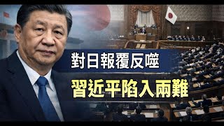 ���ձ������ɱ�����ϰ��ƽ�����µ�����