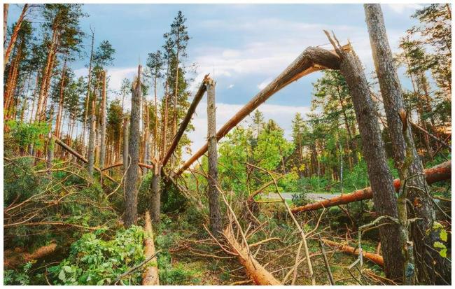 90年代中国发生的4大未解之谜 今天仍是谜团