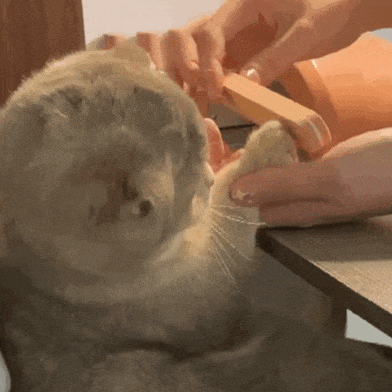 做一次美甲，身体可能承受这些伤害