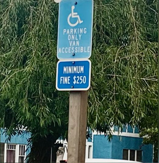 因为一个举动  多位中国留学生面临遣返