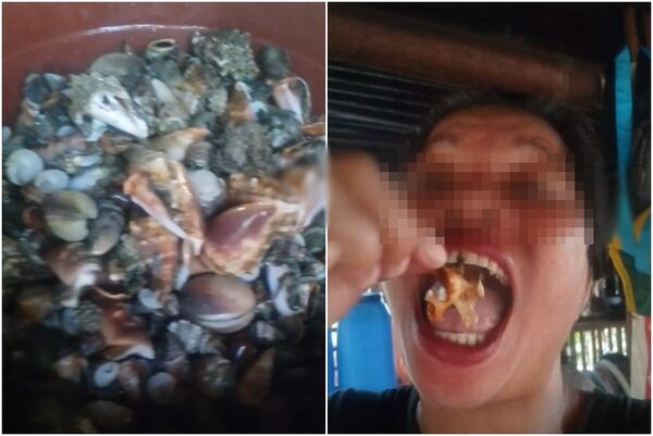 ��ʳ������Ƭ��ྺ��� ��ʳ��ħ��з������