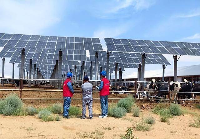 中国第7大沙漠铺满光伏板,结果震惊了 中国第7大沙漠铺满光伏板,结果震惊了