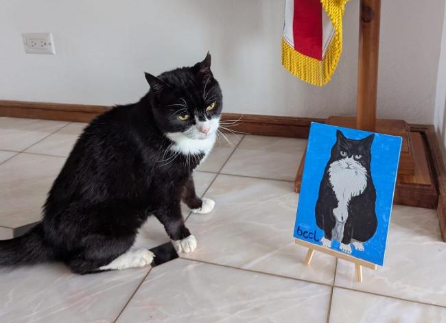 “首席捕鼠大臣”12岁安详离世 外交部沉痛悼念 “首席捕鼠大臣”12岁安详离世 外交部沉痛悼念