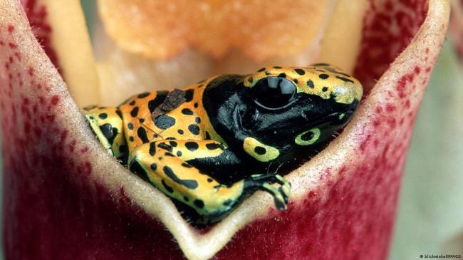 ŷ������϶��վ�ӦΪ���߶���֮������