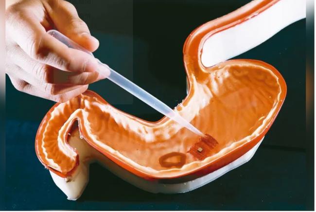 世界之最： 美2大学开发出盐粒机器人 功能强大