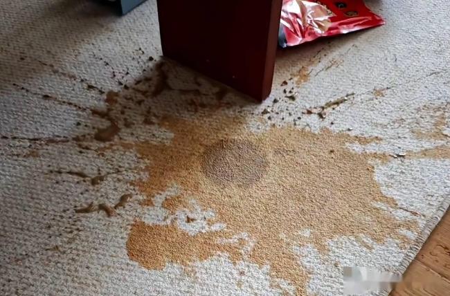 ������6�����ǡ��������������Ժ������