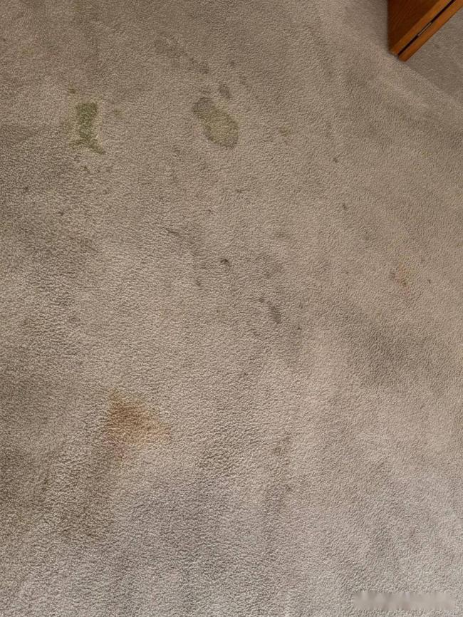 ������6�����ǡ��������������Ժ������