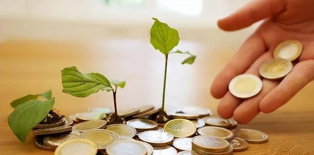 ���������գ���������������ָɶ��