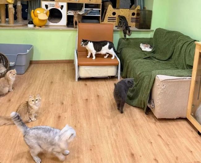 90后男生春节狂赚16万元…这种新职业爆火 90后男生春节狂赚16万元…这种新职业爆火