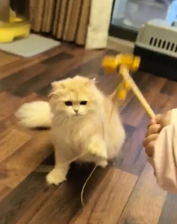 90后男生春节狂赚16万元…这种新职业爆火 90后男生春节狂赚16万元…这种新职业爆火