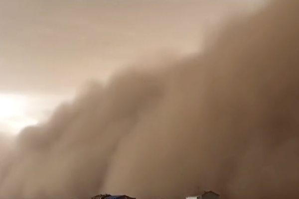 ɳ������Ϯ�й����� �����ض�������Ⱦ