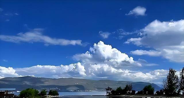 �й���һ���б���ռ�족��37������˾��ǲ���