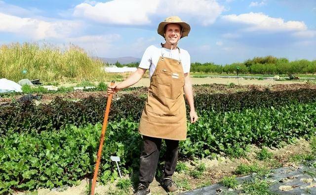 �й���һ���б���ռ�족��37������˾��ǲ���