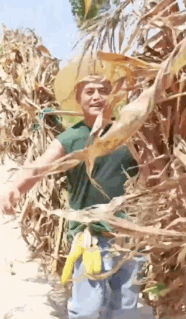 �������ǣ�����Ȧ��������ũ��