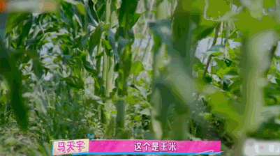 �������ǣ�����Ȧ��������ũ��