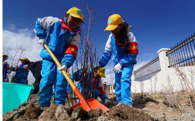 �й��׶ȡ����塱ȫ����ľ �����¼�¼