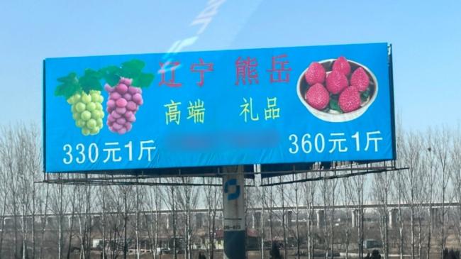 草莓360元1斤 中国天价水果惊呆网友 草莓360元1斤 中国天价水果惊呆网友