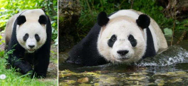 在美泉宫的帝王之日——一场充满历史的体验 在美泉宫的帝王之日——一场充满历史的体验