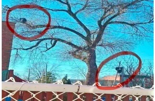 ��ǰ���ί�м��ӻ��˷��������٣����������